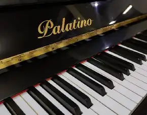 Piano Palatino Up123 Warna Hitam