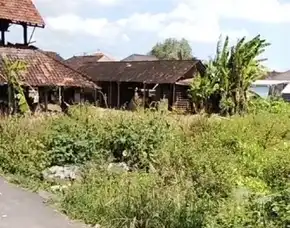 Dijual 34 Are, Jl. Raya Mengening Dedela Nata Nyitdah Kedungu Utara Kediri Tabanan