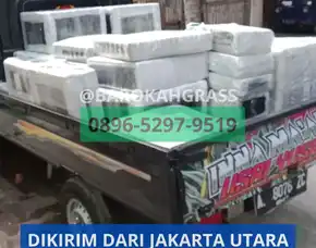 Bisa Kirim Distributor Alas Rumput Sintetis Riau Siak Minas - Barokah Grass
