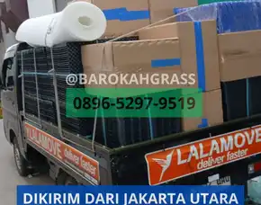 Bisa Kirim Jual Drainase Rumput Sintetis Riau Siak Sungai Apit - Barokah Grass