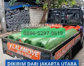 Bisa Kirim Harga Alas Rumput Sintetis Batam Batam Sekupang - Barokah Grass