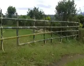 Jual Tanah Kebun Sangat Bagus Di Kintamani Bangli Bali