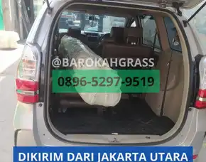 Bisa Kirim Alamat Toko Drainase Rumput Sintetis Riau Siak Mempura - Barokah Grass
