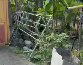 Dijual 5 Are, Jl. Gunung Lebah Monang Maning Tegal Kertha Denpasar