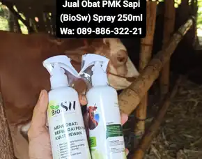 Jual Obat Pmk Sapi Blora Biosw