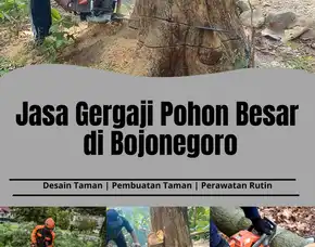 Jasa Gergaji Pohon Besar Di Bojonegoro