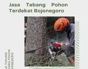 Jasa Tebang Pohon Terdekat Bojonegoro
