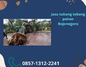 Jasa Tukang Tebang Pohon Besar Bojonegoro