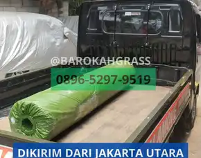 Bisa Kirim Agen Drainage Cell Riau Siak Lubuk Dalam - Barokah Grass