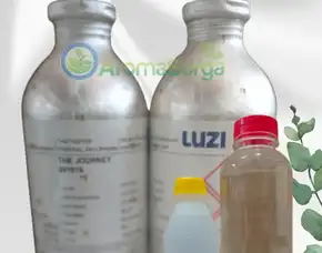 Grosir Bibit Parfum Luzi Kendal
