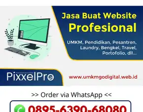 Jasa Buat Website Portofolio Pontianak