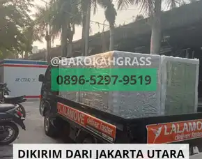 Stok Banyak Tempat Beli Drainase Rumput Sintetis Cirebon Gegesik - Barokah Grass