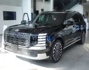 Hyundai Palisade Hybrid Callygraphy