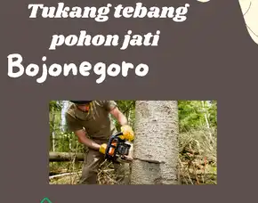 Jasa Tebang Pohon Murah Di Bojonegoro