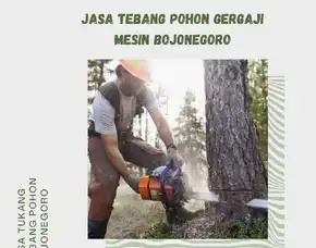Jasa Tebang Pohon Gergaji Mesin Bojonegoro