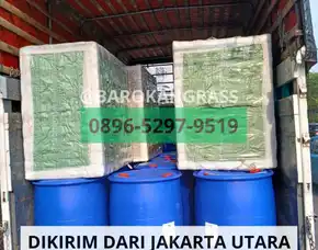 Bisa Kirim Grosir Drainase Rumput Sintetis Cirebon Ciledug - Barokah Grass