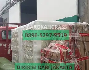 Bisa Kirim Agen Drainage Cell Palu Batui - Barokah Grass