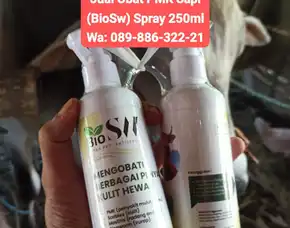Jual Obat Pmk Sapi Brebes Biosw