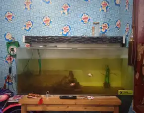 Aquarium Uk. P.100cm L.40cm T.40cm