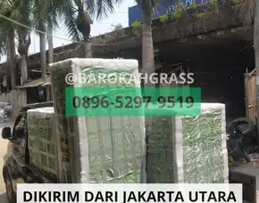 Terpercaya Alamat Toko Drainase Cell Cirebon Babakan - Barokah Grass