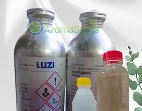 Grosir Bibit Parfum Luzi Minahasa Tenggara