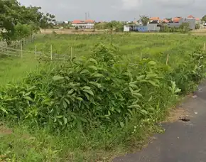 Dijual 2 Are, Jl. Tukad Balian Gg. Nuri Sanur Kauh Denpasar