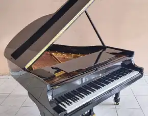 Grand Piano Steinway & Sons Type M Hitam Kelas Dunia