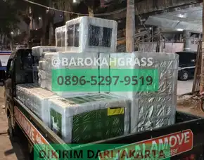 Bisa Kirim Alamat Toko Drainase Rumput Sintetis Palu Batui Selatan - Barokah Grass