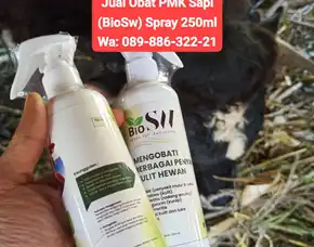 Jual Obat Pmk Sapi Banyumas Biosw