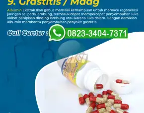 Jual Obat Albumin Ke Makassar Untuk Pasca Operasi, Albumin Plus