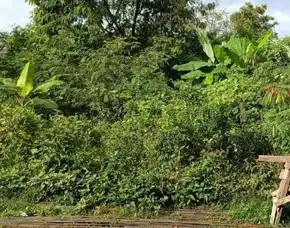 Dijual 2 Are, Jl. Veteran Kopral I Nyoman Suwena Buduk Mengwi Badung