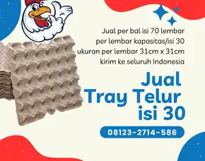 Jual Wadah Telur (Tray Telur) Kirim Ke Mpunda Ntb (5), Merk Aksa