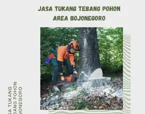 Jasa Tukang Tebang Pohon Area Bojonegoro