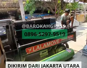 Terpercaya Harga Tatakan Rumput Sintetis Cirebon Depok - Barokah Grass