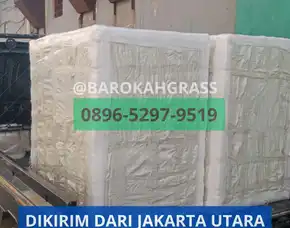 Bisa Kirim Gudang Drainase Cell Riau Siak Sabak Auh - Barokah Grass