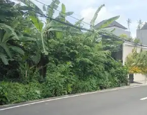 Dijual 2,5 Are, Jl. Raya Tumbak Bayuh Raya Veteran Pererenan Mengwi