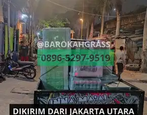 Bisa Kirim Jual Alas Rumput Sintetis Sukabumi Simpenan - Barokah Grass