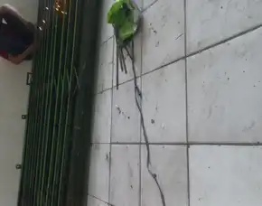 Jasa Service Rolling Door Pasar Minggu