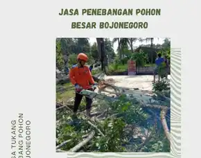 Jasa Penebangan Pohon Besar Bojonegoro