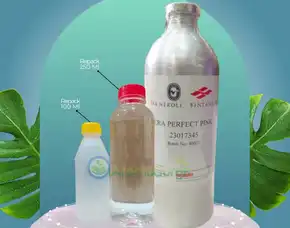 Jual Bibit Parfum Sfa Neroli Indragiri Hulu