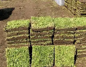 Supplier Rumput Lapangan Sepak Bola Tangerang Terbaik