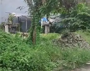 Dijual 4 Are, Jl. Sri Wedari Raya Munggu Kapal Bantas Cepaka Kediri Tabanan