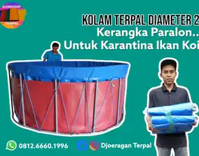 Jual Beli Terpal Kolam Budidaya Ikan Lele Lengkap Melayani Area Makassar