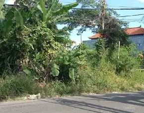 Dijual 10 Are, Jl. Raya Munggu Kapal Raya Tangeb Cepaka Kediri Tabanan