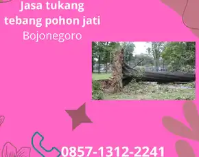 Jasa Tebang Pohon Bojonegoro