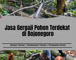 Jasa Gergaji Pohon Terdekat Di Bojonegoro