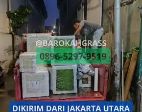 Bisa Kirim Grosir Tatakan Rumput Sintetis Riau Siak Pusako - Barokah Grass