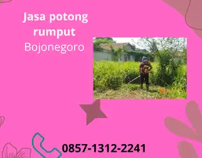 Jasa Bersihkan Rumput Murah Bojonegoro