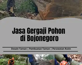 Jasa Gergaji Pohon Bojonegoro