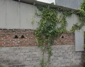 Dijual 1,2 Are, Jl. Cargo Taman Ubung Kaja Denpasar Utara